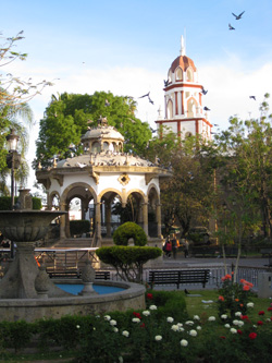 Jardin Hidalgo
