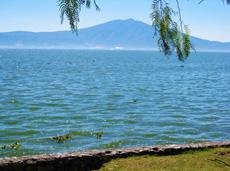 Lake Chapala