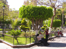 Jardín Hidalgo
Jardín with people