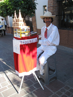 Bird fortune teller