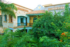 Balcony treetops